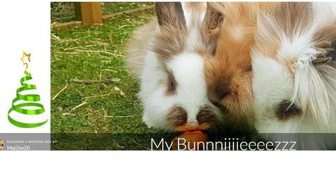 My bunnies - by aiphos fielder